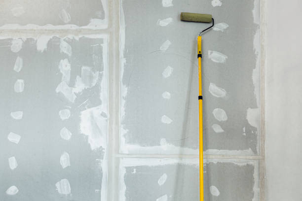 Best Asbestos and Lead Testing During Mold Inspection  in Herscher, IL