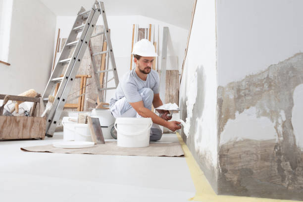 Best Mold Prevention Services  in Herscher, IL