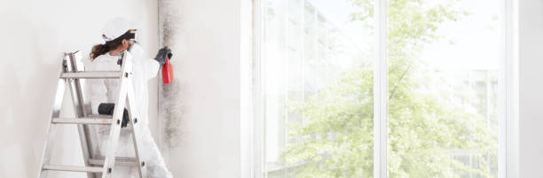 Best Forensic Mold Investigation  in Herscher, IL