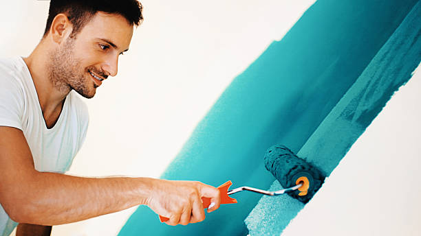 Best Post-Construction Mold Inspection  in Herscher, IL