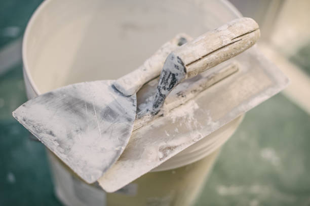 Best Environmental Consulting for Mold Prevention  in Herscher, IL